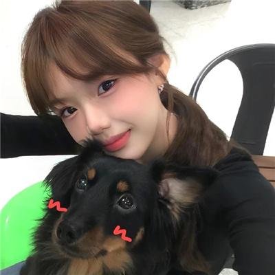 内华达搜熊犬